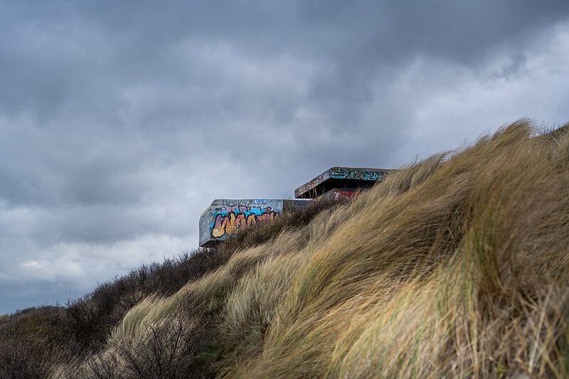 Blockhaus allemand tapi dans les hautes herbes du trait de côte de Dunkerque.