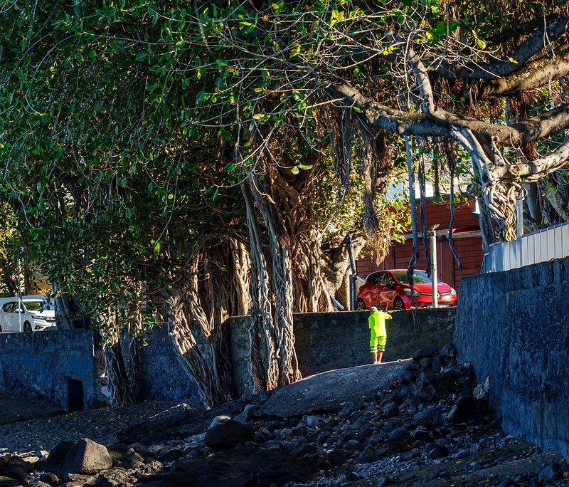 Ouvrier communal en tenue jaune fluo nettoyant les abords de la plage de Terre-Sainte en début de journée, Réunion 2025.