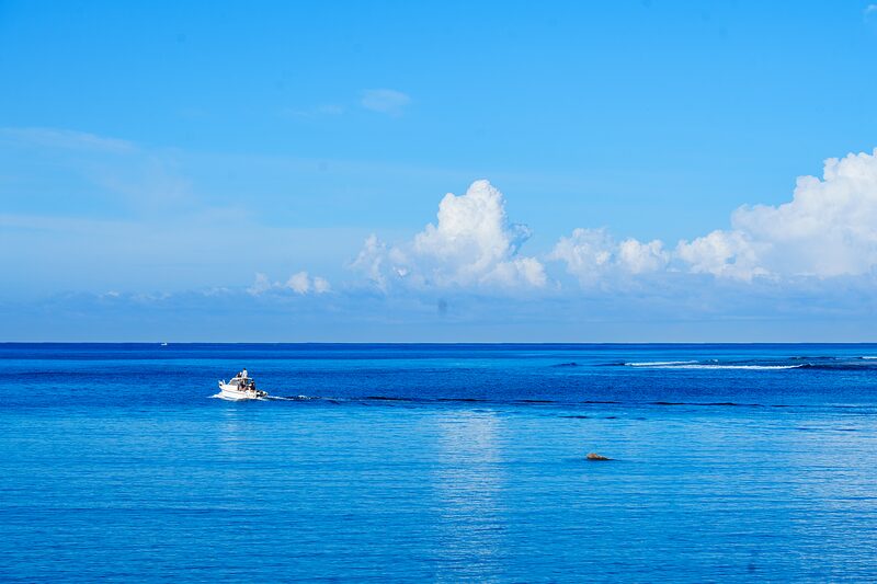 Petit bâteau de pêche blanc quittant le port de pêche de Terre-Sainte, Réunion 2025.