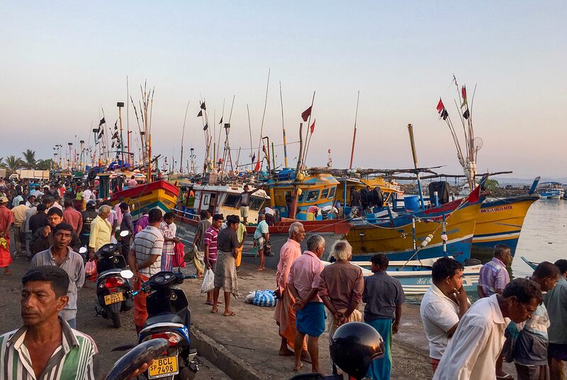 Port de pêche grouillant d'activité, tôt le matin, Sri-Lanka 2016.